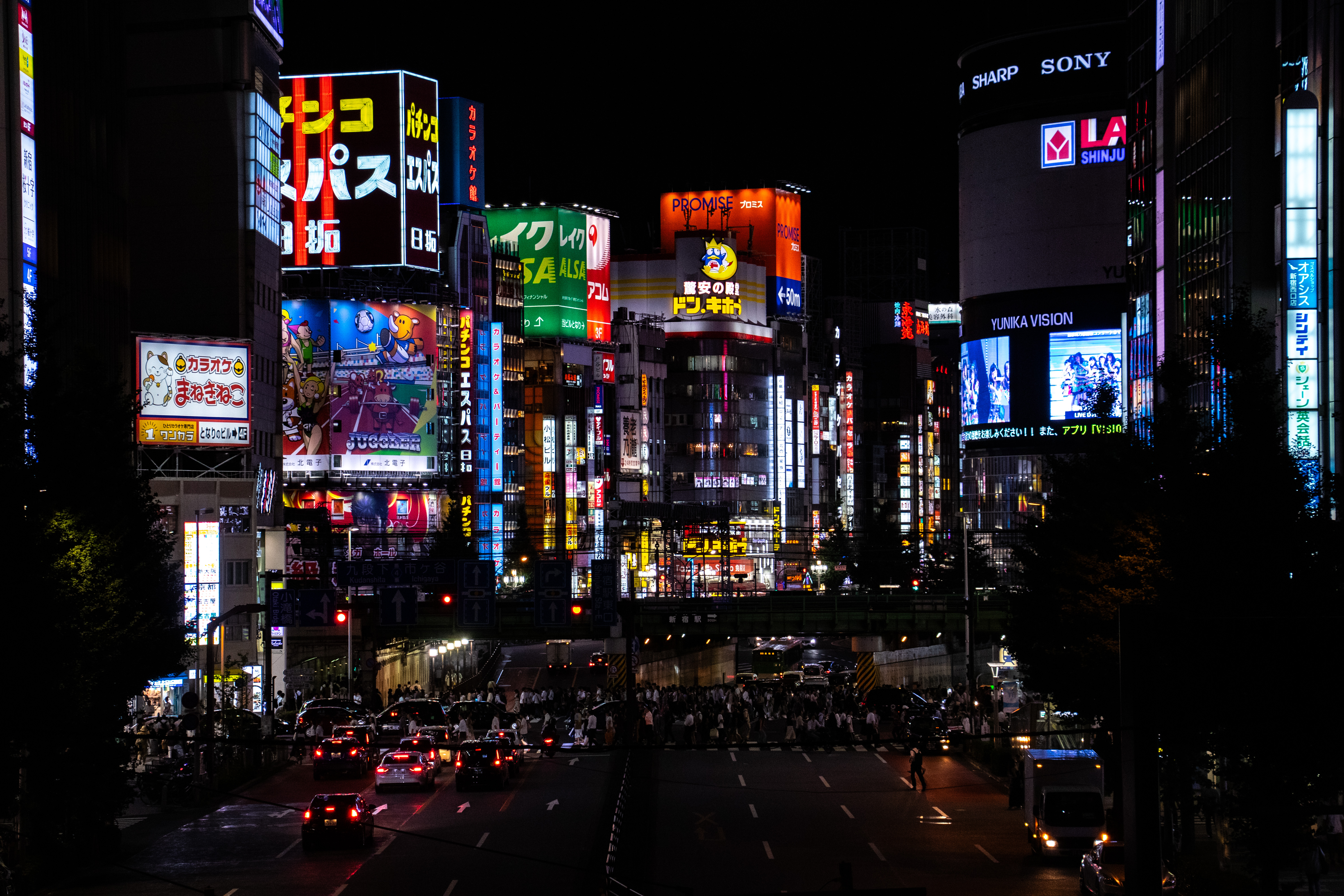 _MG_0996